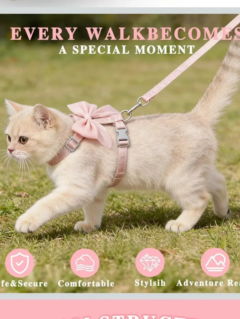 Small Pet Harness and Leash with Bow Adjustable Straps Cat